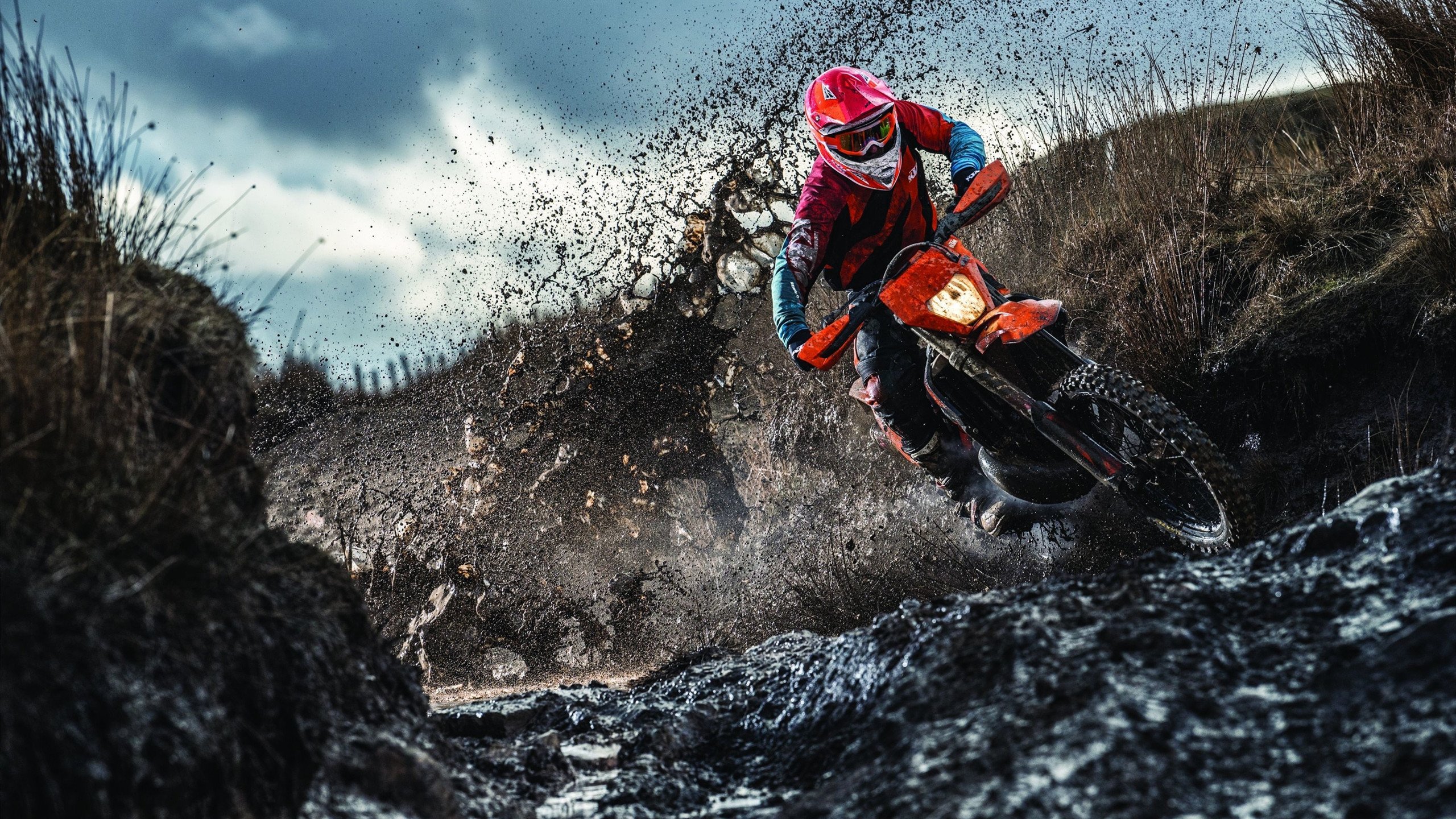 “阿根廷美洲狮队：橄榄球冠军赛的黑马崛起”